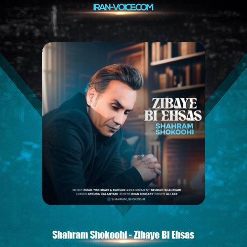 دانلود آهنگ شهرام شکوهی زیبای بی احساس