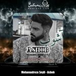 دانلود آهنگ محمدرضا سیلی آشوب