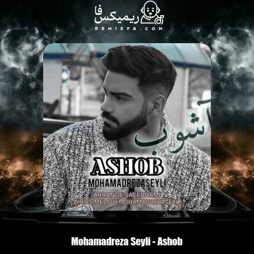 دانلود آهنگ محمدرضا سیلی آشوب