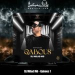 دانلود آهنگ دیجی میلاد ام دی قابوس 1
