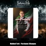 دانلود آهنگ مهبد ترک پرچم یه رنگم