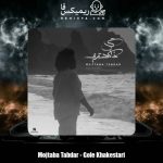 دانلود آهنگ مجتبی تابدار گل خاکستری