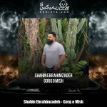 دانلود آهنگ شاهین ابراهیم زاده گرگ و میش