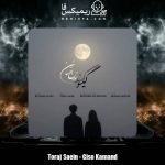 دانلود آهنگ تورج سائین گیسو کمند